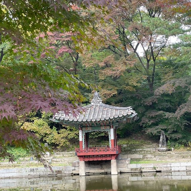 Secret Garden 🪴 
