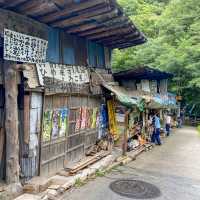 東洋のナイアガラ『吹割の滝』