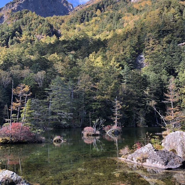 紅葉の明神池