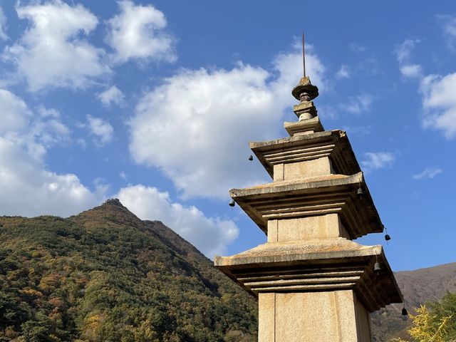드라이브와 산책 둘 다 잡을 수 있었던 가족나들이, 밀양 표충사