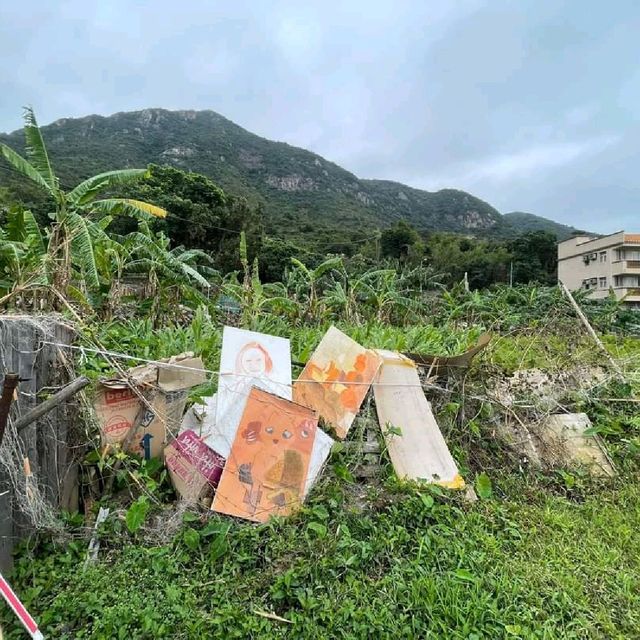寒冷天氣走去行山