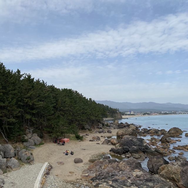 이색적인 전망대에서 보는 포항바다 🌊
