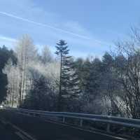 ［富士山四合目］- 在雲上起舞🗻