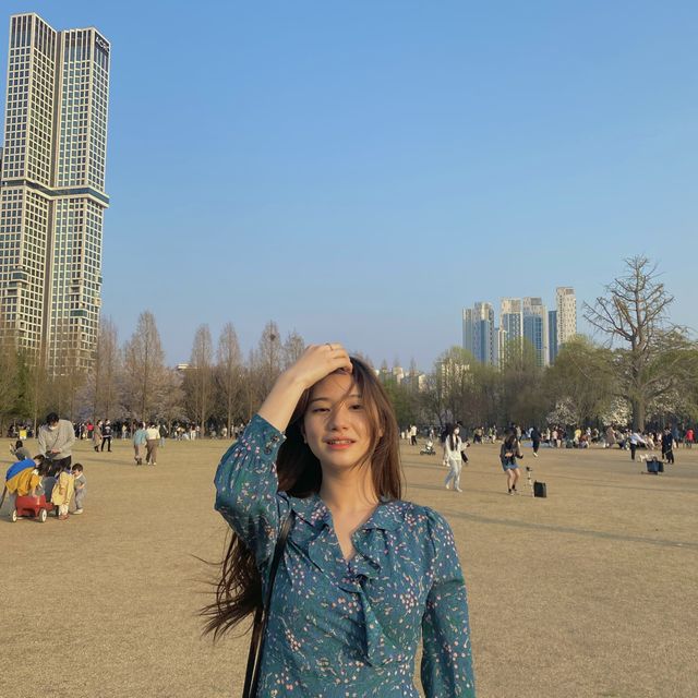 벚꽃엔딩 전에 달려가기! 🌸서울숲공원🌸