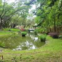 青衣公園紅色花海