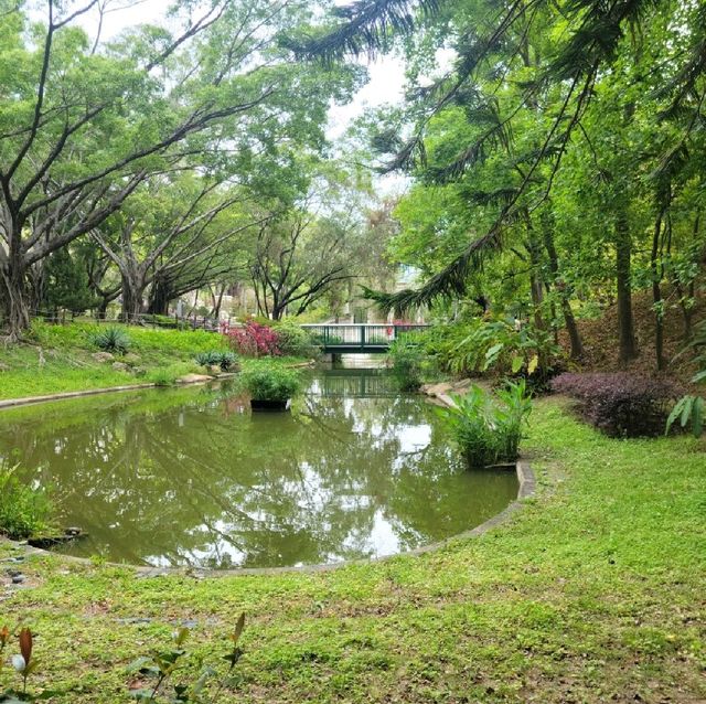 青衣公園紅色花海