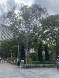 城市中的一點綠-銅鑼灣花園