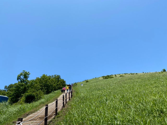 바다가 보이는 제주도 오름, 새별오름에서 인생샷 📸