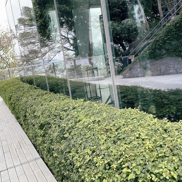 鄰近西環泳棚新景點-芝加哥大學商學院分校
