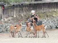 週末の旅【興福寺in奈良】