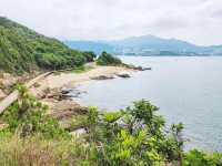 坪洲環島遊