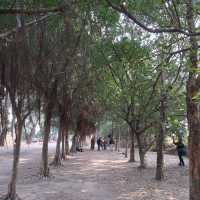 交通方便的香港後花園