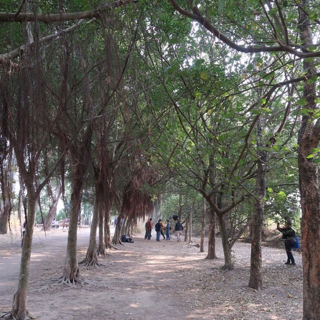 交通方便的香港後花園