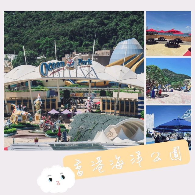 暑假就到！要去香港海洋公園嗎？🤩
