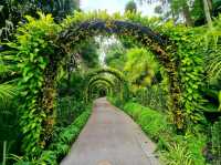 Nature Tranquil 
