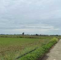 Explore beyond Hoi An on motorbike