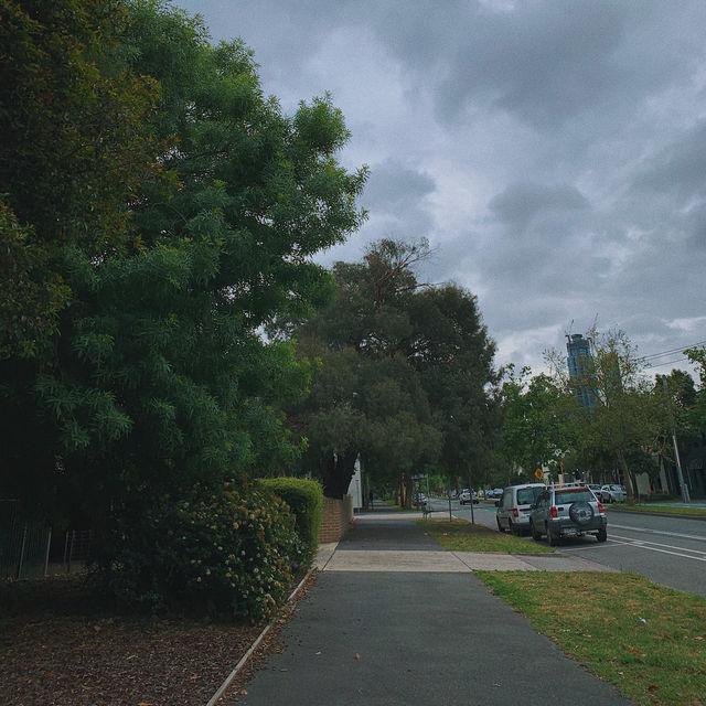 Albert Park 🌲 멜버른 피크닉