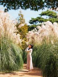 태안 가을 필수 여행지🌾