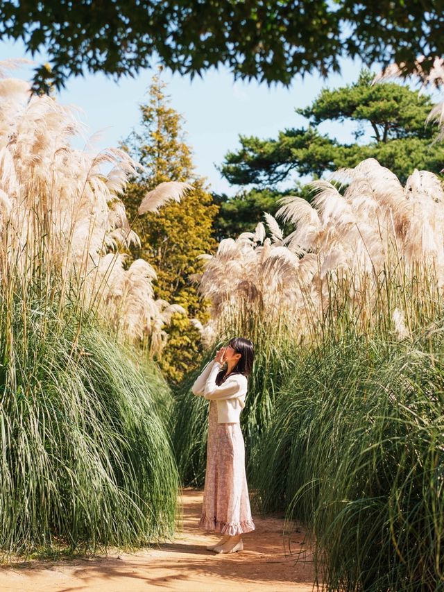 태안 가을 필수 여행지🌾