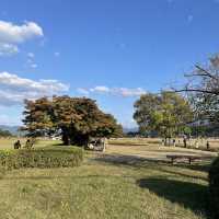 【奈良県】古都奈良のコスモス畑へ