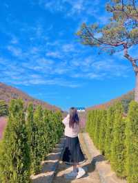 🌿인생샷 보장카페, 유리원🌿