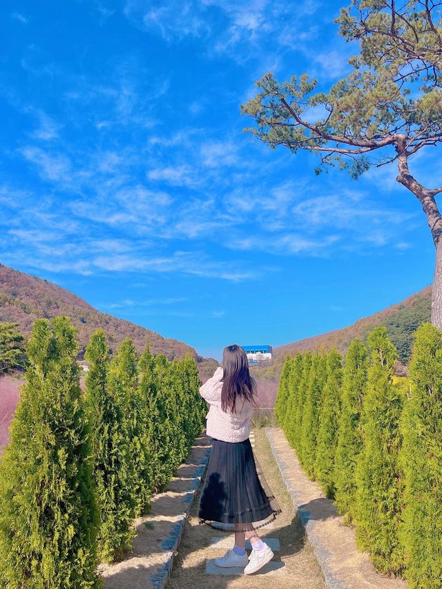 🌿인생샷 보장카페, 유리원🌿