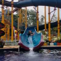 Family Day at Amverton Heritage Resort 