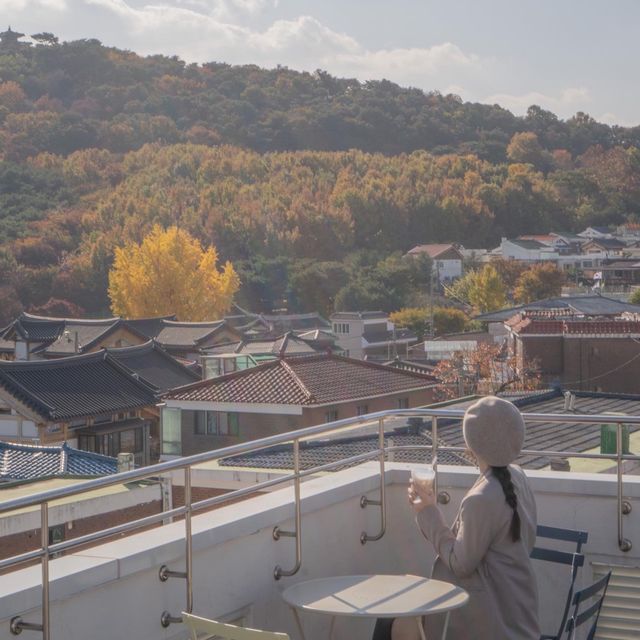 수원의 맛집멋집 카페 ☕️ 정지영커피로스터즈행궁본점