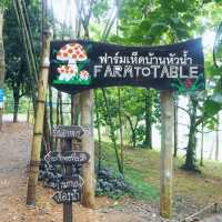ฟาร์มเห็ดบ้านหัวน้ำ-กับเมนูเห็ดๆ