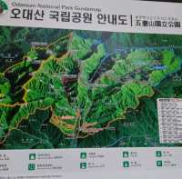 오대산 비로봉 등산