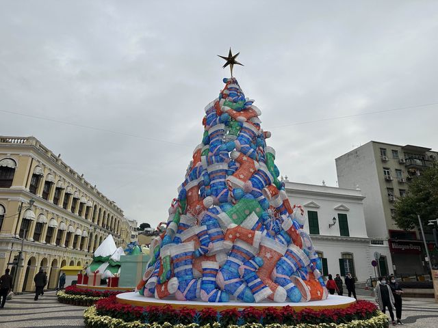 Christmas Feels at San Malo! 