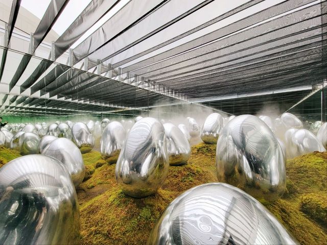 豐洲市場吃飽後好去處 豐洲teamLab Planets Tokyo美術館