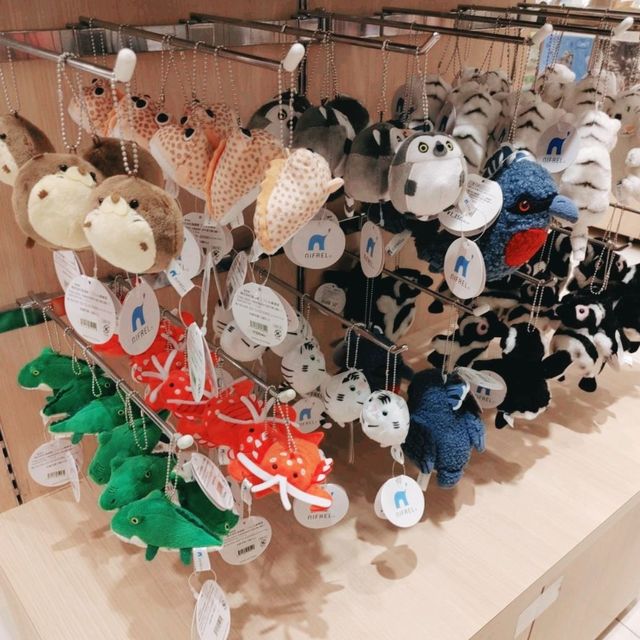 ニフレル　お土産コーナー