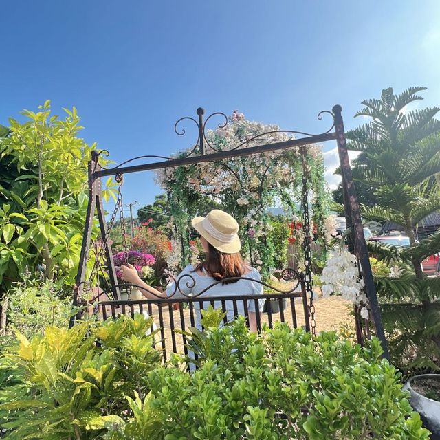 大埔林村隱世打卡植物園Botanic Union