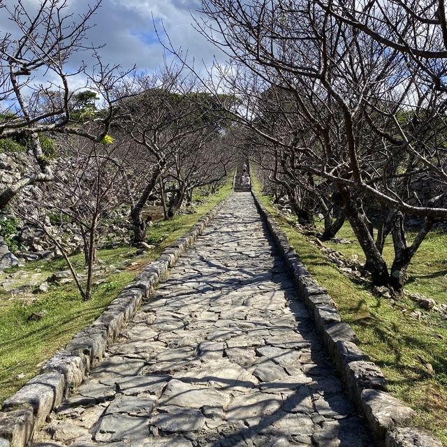 【沖縄･本島】一度は訪れたい絶景の世界遺産‼️