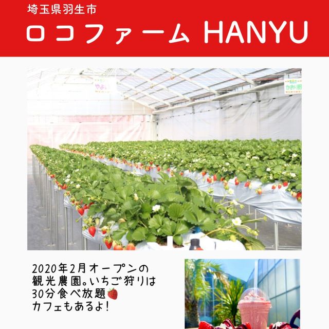 関東のいちご狩りスポットまとめ6選