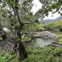 賞花攻略 蝴蝶灣公園