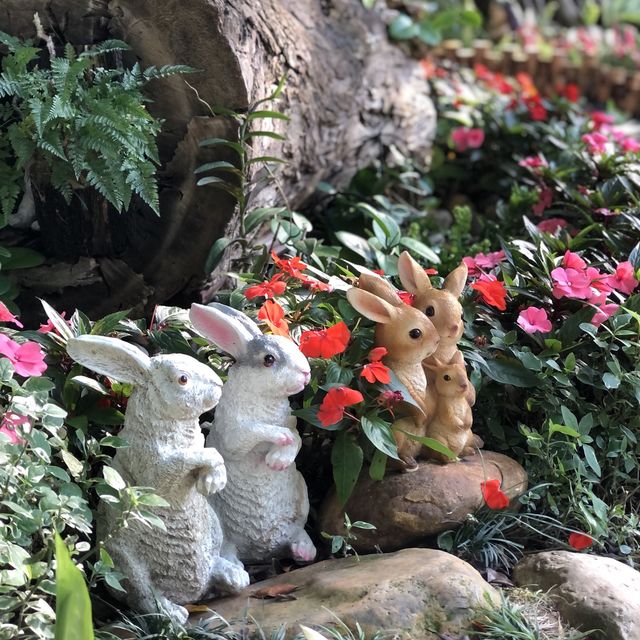 🌲荃灣後花園🌹尋找復活兔🐰