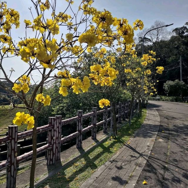 欣賞美景😍😍😍😍