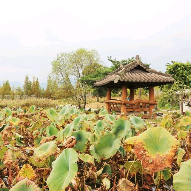 경기도 피크닉 명소 '세미원'