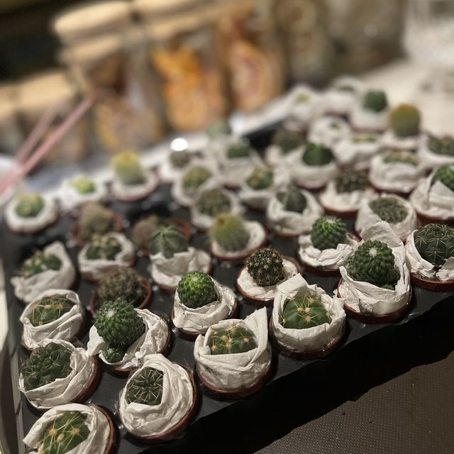 台北女性酒吧～cactus