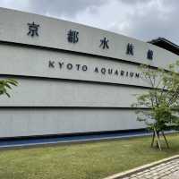 子鉄に最高広くてゆっくりできる梅小路公園