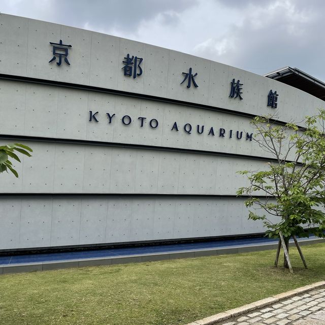 子鉄に最高広くてゆっくりできる梅小路公園