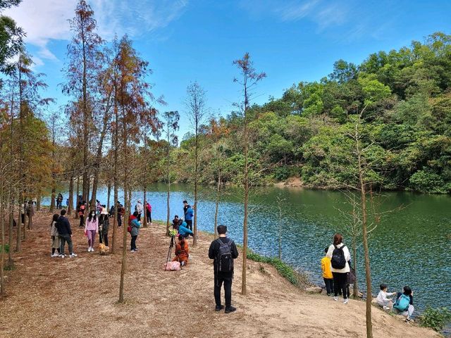 港版輕井澤雲場池~流水響水塘🏞️