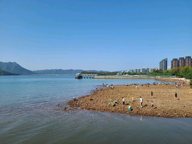 放風好去處~馬鞍山中央公園⛲