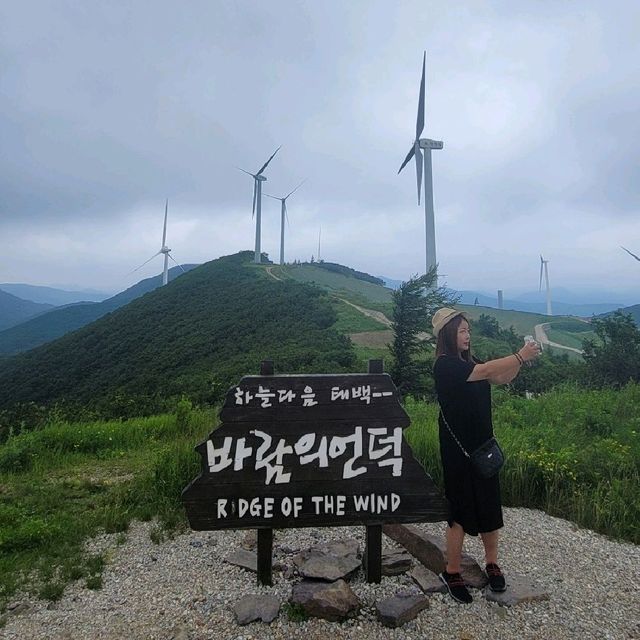 강원도 태백시 매봉산 바람의언덕 