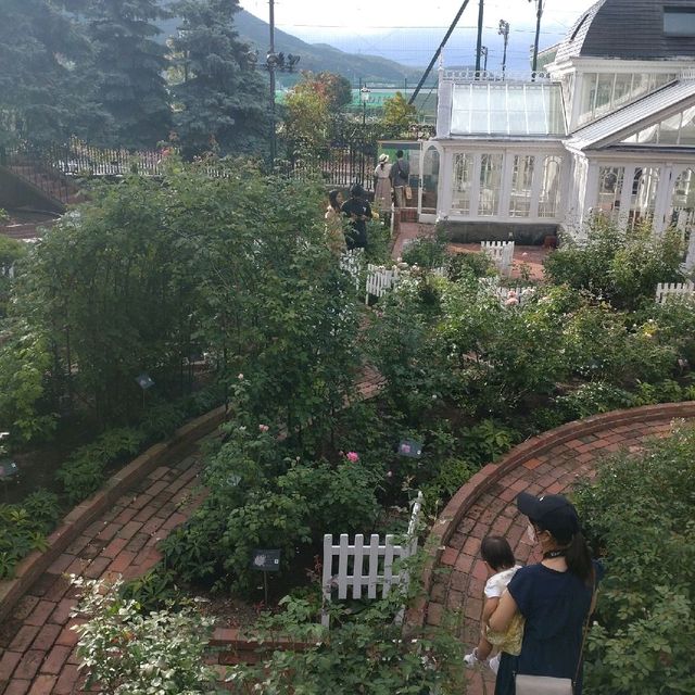 白い恋人パークのローズガーデンとお花