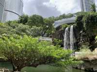 本地遊 | 坐港鐵遊香港 | 金鐘站 | 香港公園｜鬧市賞花好去處