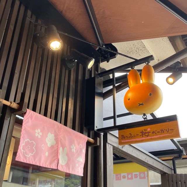 【京都】嵐山/みっふぃー桜きっちん🌸🐰