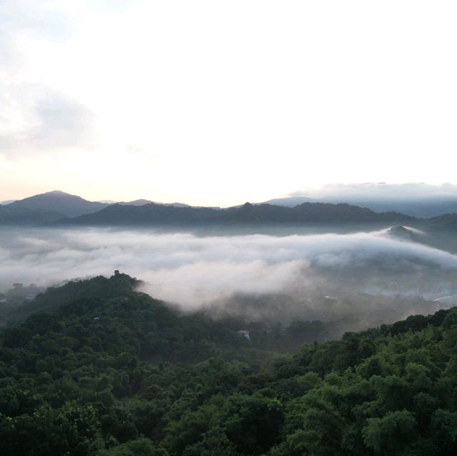 Sea of Clouds Tanay